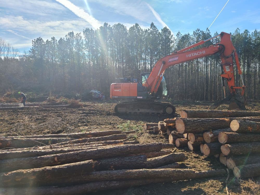 Excavator at a logging site with stacked logs and trees in the background.