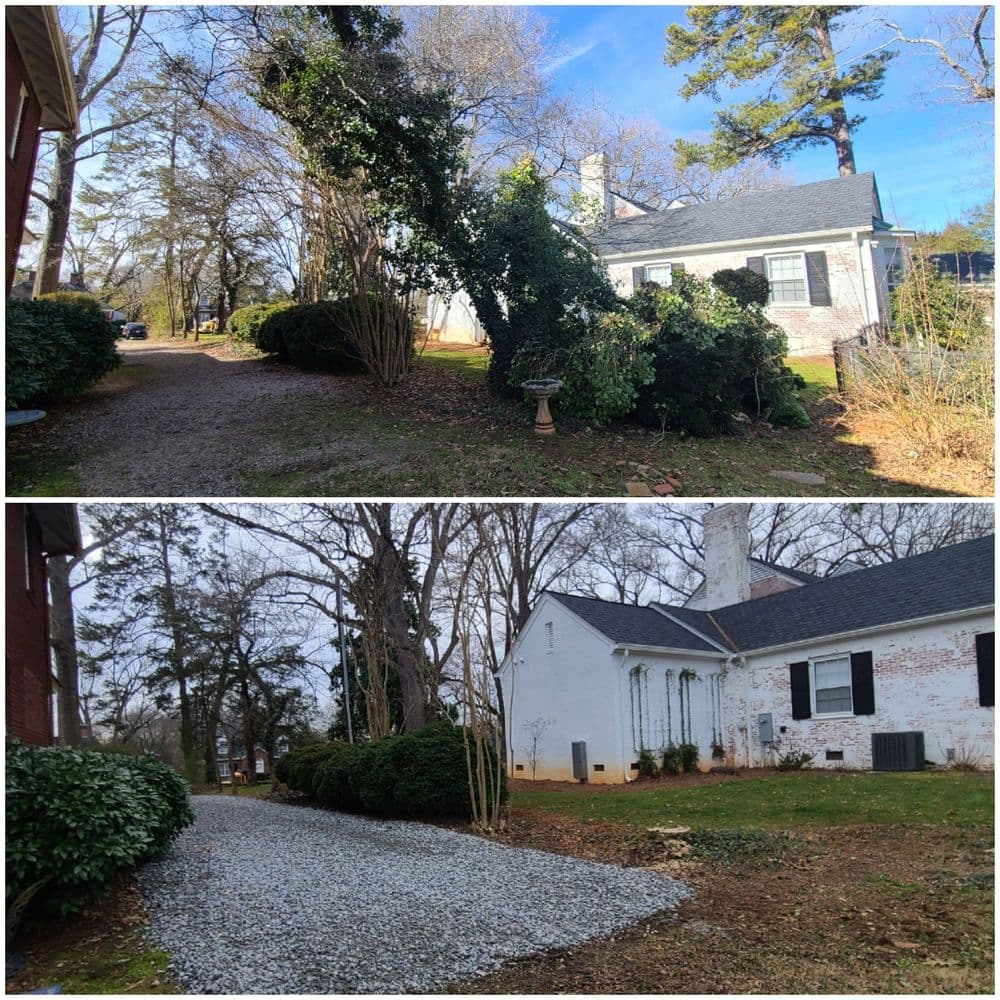 Before and after: landscape transformation from overgrown bushes to a gravel pathway.