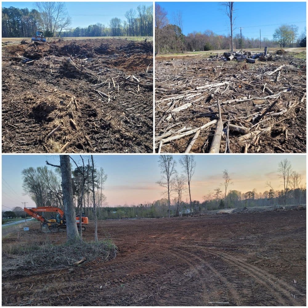 Cleared land with tree stumps and debris after logging activities, showcasing landscape transformation.