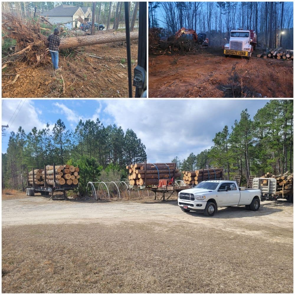 Tree removal and logging operations in a forested area with machinery and parked trucks.