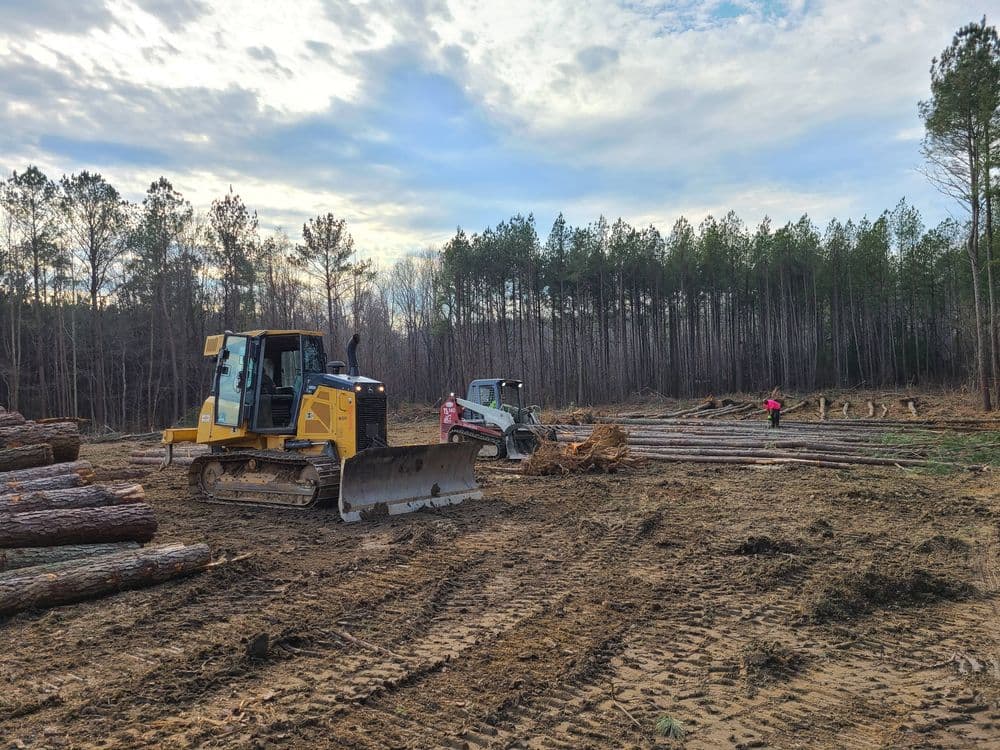 Bulldozer and logging equipment in a forested area with visible trees and timber stacks.