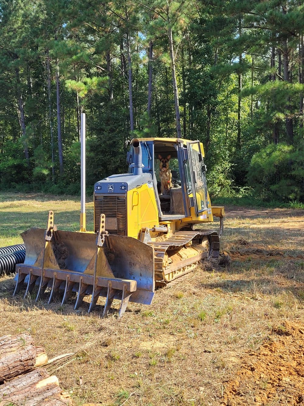 Bulldozer working on a construction site surrounded by trees and logs.