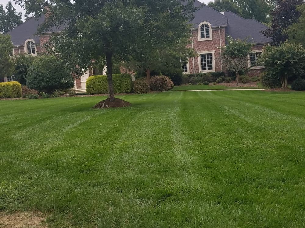 Lush green lawn with striped patterns in front of a brick house and landscaped bushes.