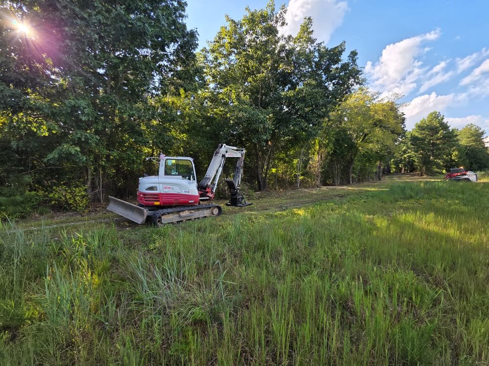 Compact excavator working alongside a grassy area near trees under a blue sky.