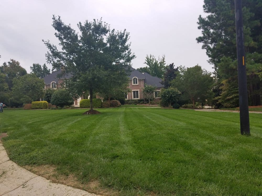 Lush green lawn with neatly striped grass and a large home in the background under cloudy sky.
