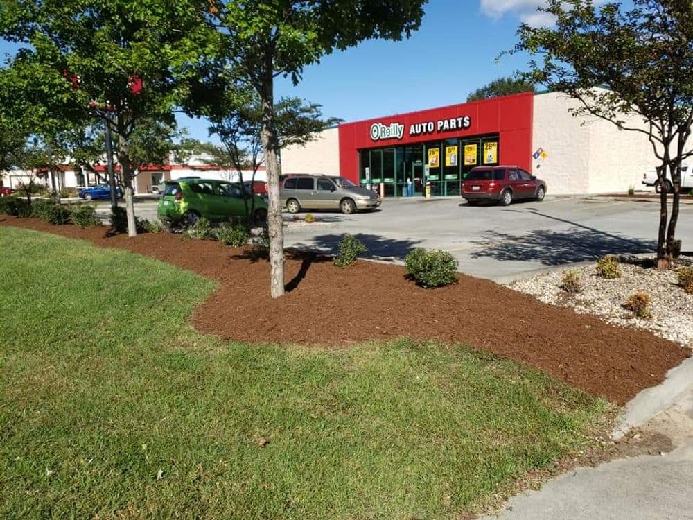 Rally Auto Parts store exterior with landscaped area and parked cars.