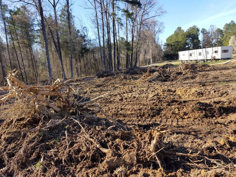 Cleared land with uprooted trees and a mobile home in the background under a clear blue sky.
