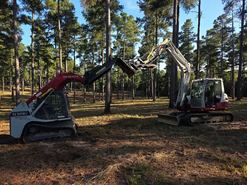 Brush Cutting & Mulching image