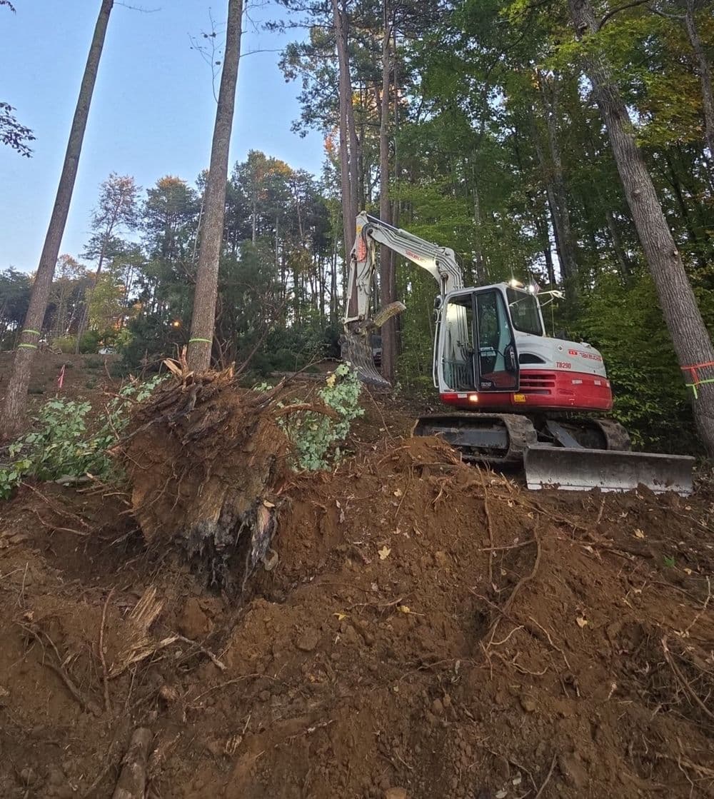 Hyco Lake- Lot Clearing