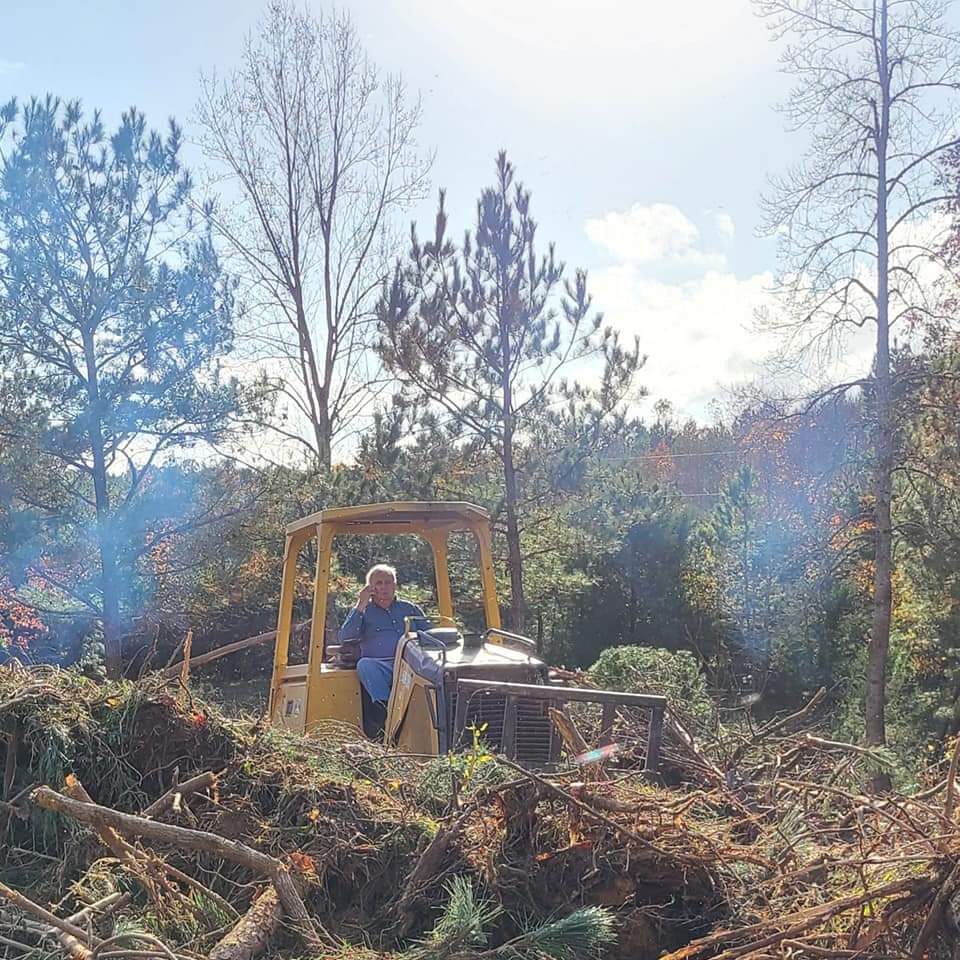 Person operating a yellow bulldozer on a tree-clearing site with clear blue skies.