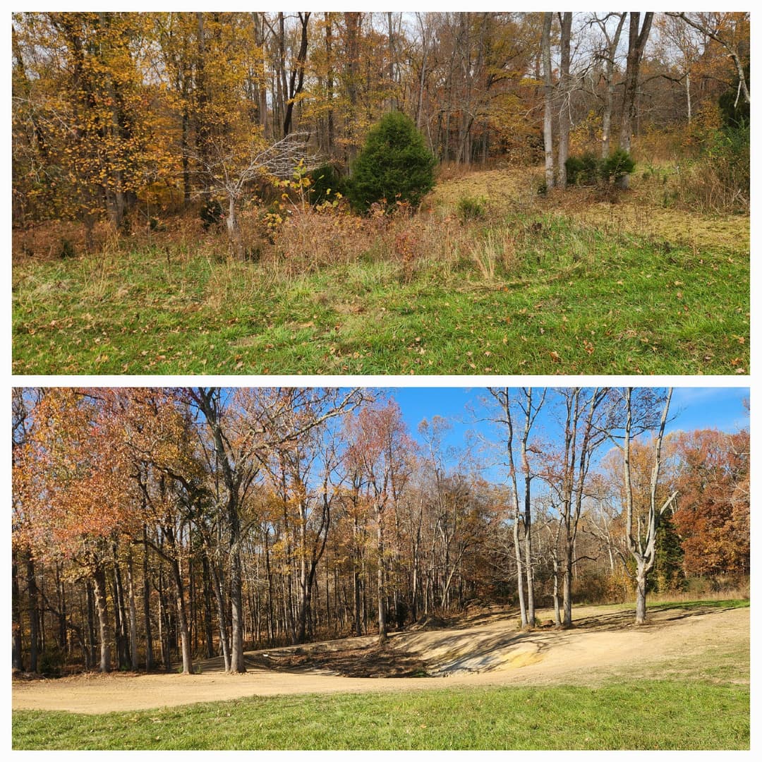 Autumn landscape with vibrant foliage and open space, showcasing seasonal colors and textures.