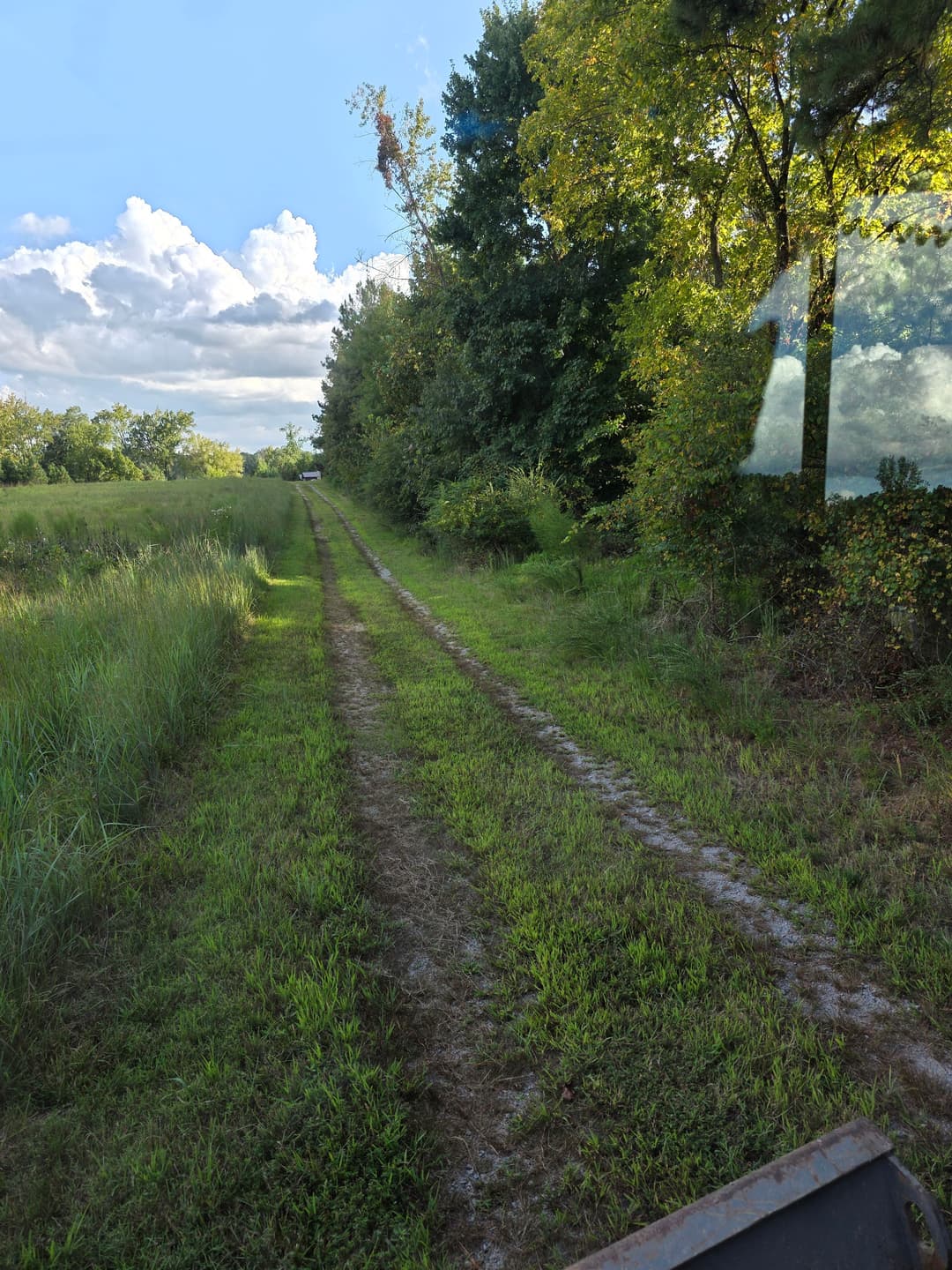 Dirt path through lush greenery under a blue sky with clouds. Ideal for nature walks.