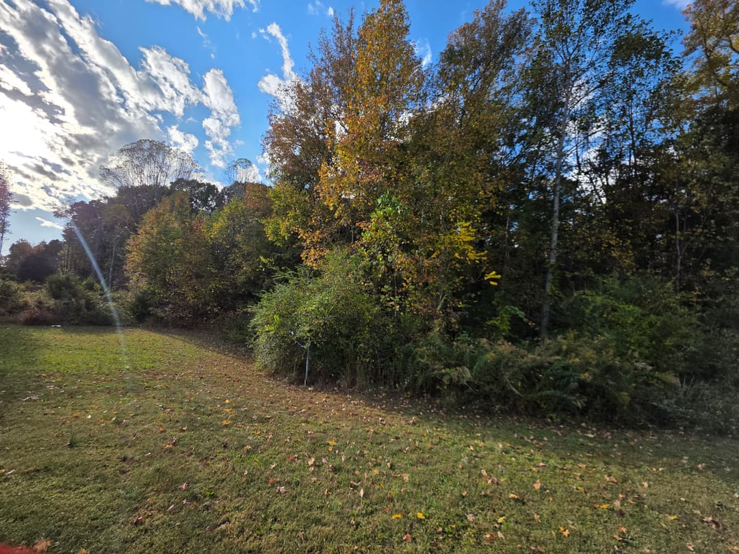 Vibrant autumn trees and foliage under a cloudy sky with sunlight peeking through.