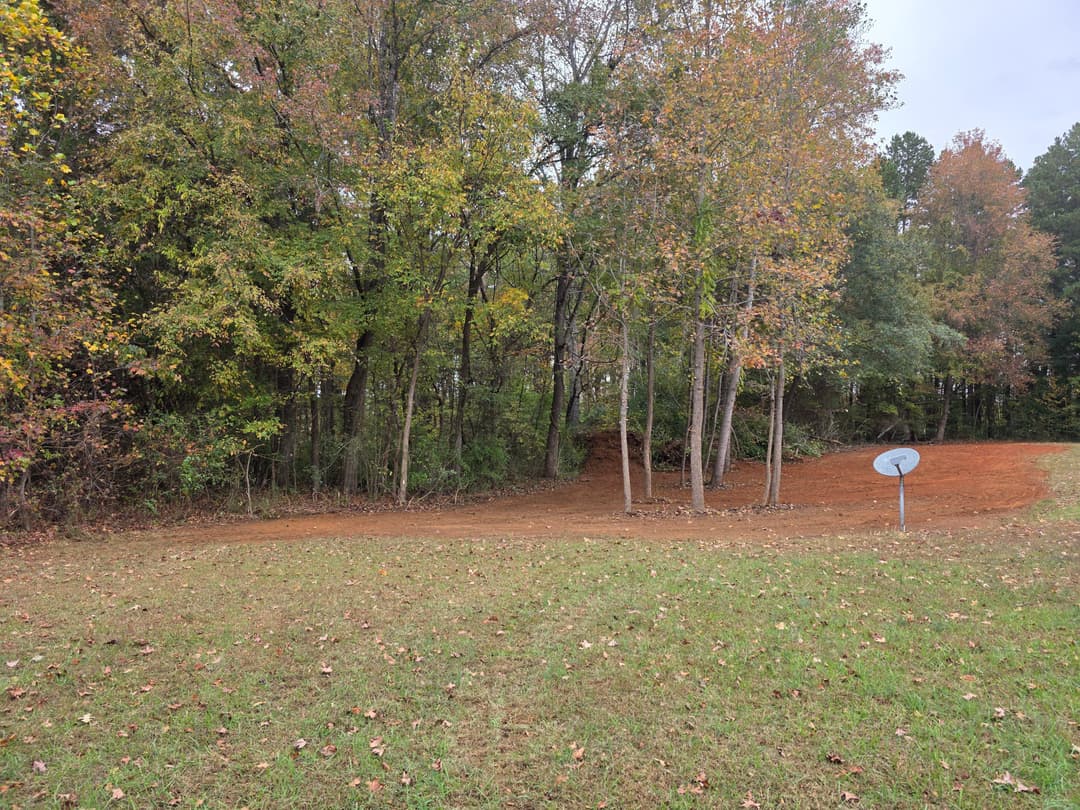 Cleared area next to a forest with autumn foliage and a satellite dish in the foreground.