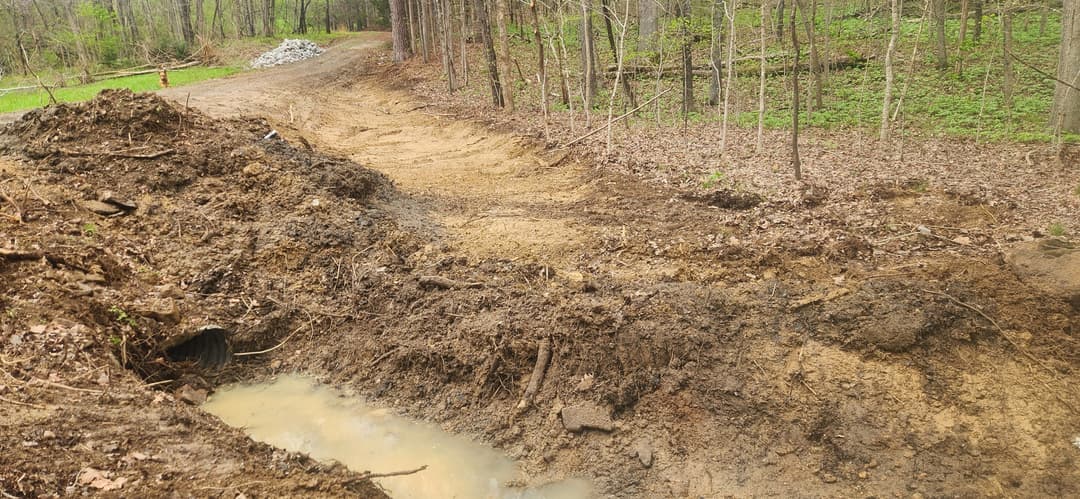 Dirt path in forested area with muddy ground and a small pond of water.