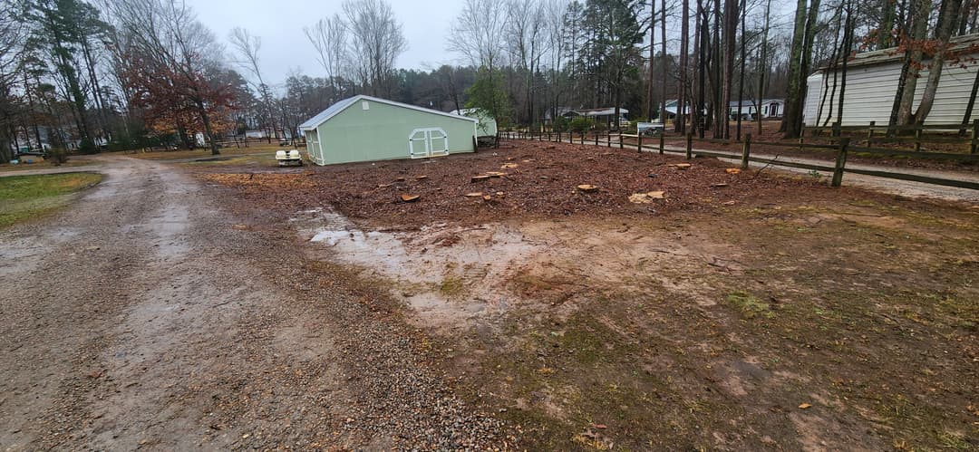Gravel driveway leading to green shed in a wooded area with muddy ground.